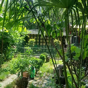 Gardens In Vake, Тбилиси